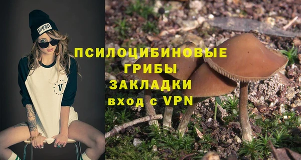 стаф Алексеевка