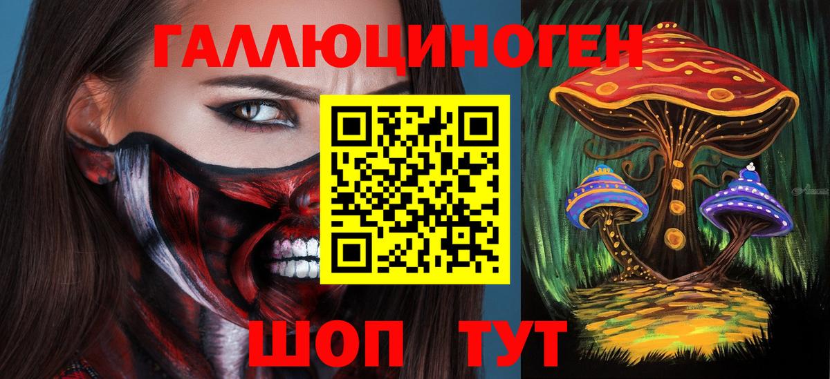 Дзержинск  Псилоцибиновые грибы MAGIC MUSHROOMS  Псилоцибиновые грибы Cubensis  Вход с VPN 